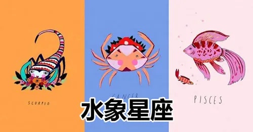 什么是水象星座（详解水象星座特点及性格特征）