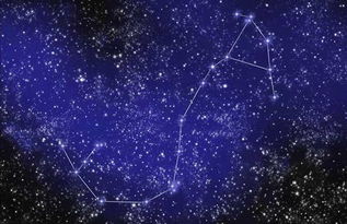 天蝎男和什么星座最配（星座配对指南）