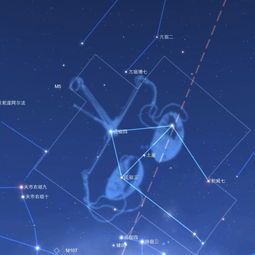 7月22日是什么星座？7月22日生日星座特点解析