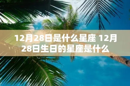 12月28日是什么星座（生日在12月28日的星座是什么）