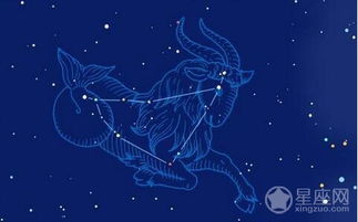 12月28日生日的人是什么星座，12月28日星座特点解析