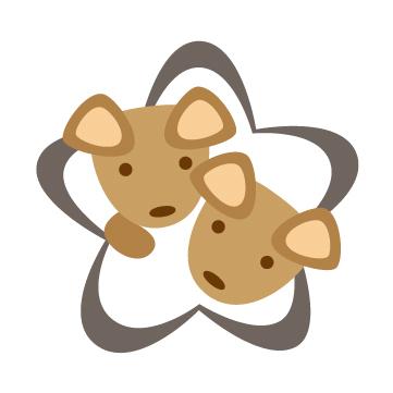 十一月三十是什么星座（十一月三十出生的人属于哪个星座）