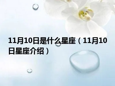 11月10日什么星座（11月10日生日的人属于哪个星座）