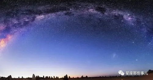 11月14日什么星座（星座运势预测）