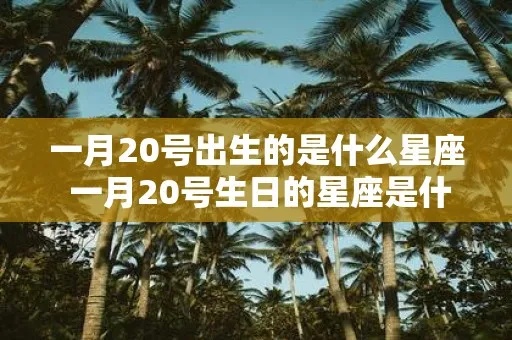 一月20号出生的人是什么星座，一月20号星座特点解析