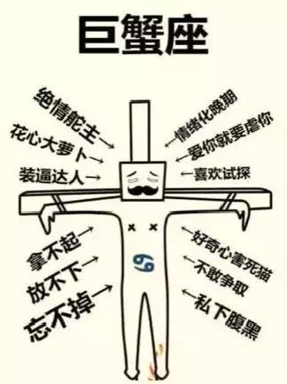 什么星座最适合你,十二星座性格特点解析