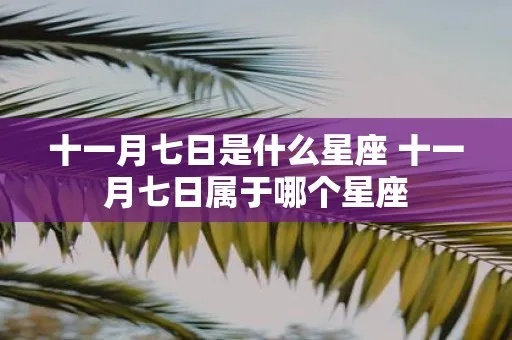 十一月七日是什么星座（十一月七日出生的人属于哪个星座）