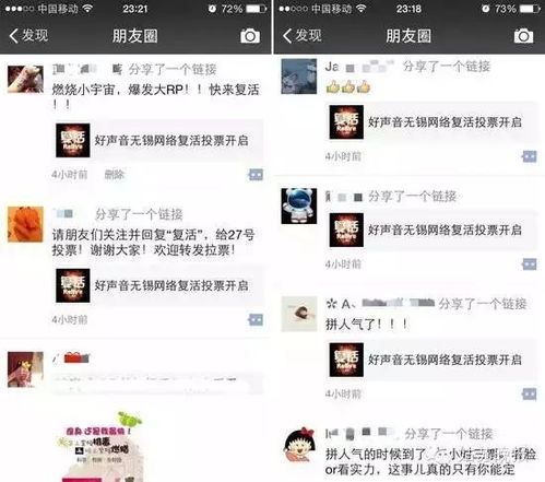 看人工投票群视频价格 真正的人工投票群