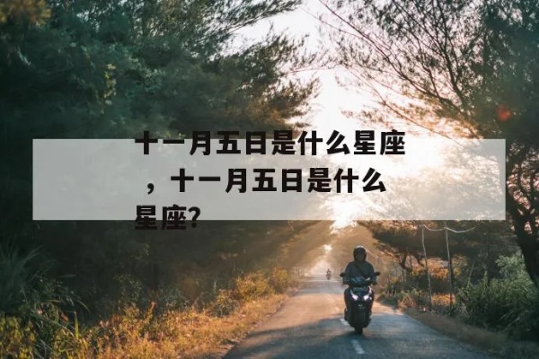十一月五日是什么星座（十一月五日生日的人属于什么星座）