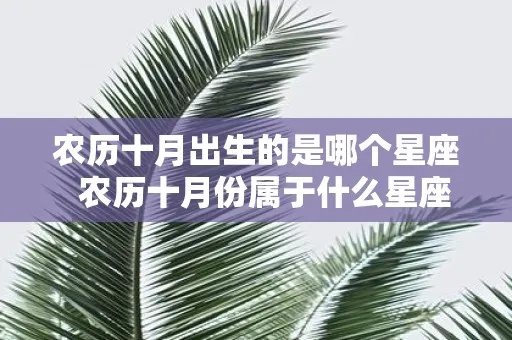 农历十月份是什么星座，农历十月出生的人性格特点解析