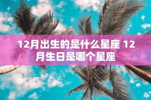 12月25日出生的人是什么星座，12月25日星座分析