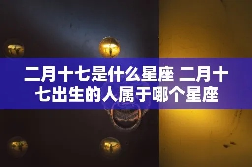 二月十七是什么星座（二月十七出生的人属于哪个星座）