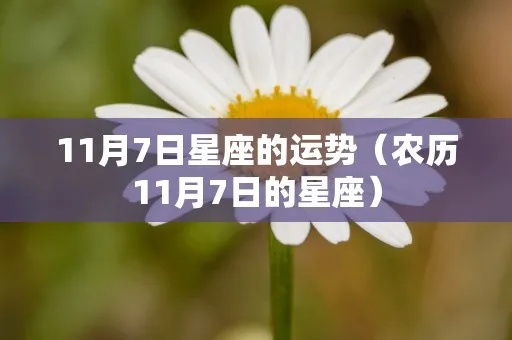 11月7日什么星座（11月7日星座运势解析）