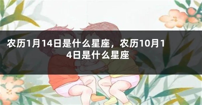 农历1月14日是什么星座（农历生日对应的星座查询）