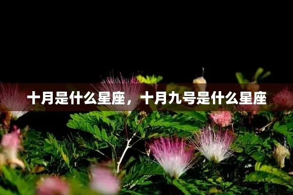 十月初九是什么星座，生日在十月初九的人是什么星座？