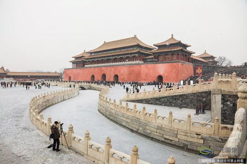 二月八日出生的人是什么星座，二月八日星座特点解析