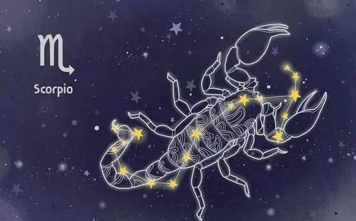 十二月初八生日星座是什么,十二月初八星座特点分析