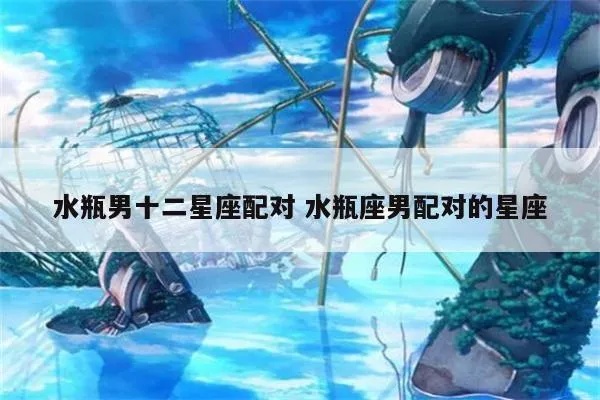 水瓶座男生最配什么星座女生，水瓶座男生的恋爱观和星座配对