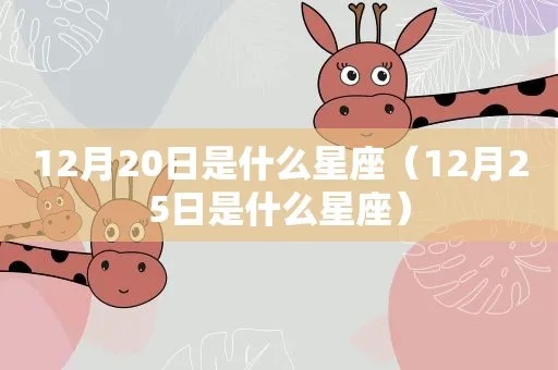 12月25日是什么星座（12月25日出生人群的星座分析）
