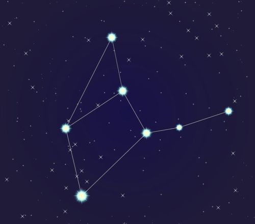 8月出生的男孩子是什么星座，8月星座男孩性格特点解析