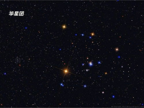七月三号是什么星座（七月三号出生的人属于哪个星座）