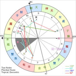 第一宫是什么星座（星座排列顺序解析）