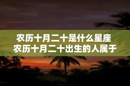 2月初十是什么星座（探讨2月初十出生的人的星座特征）
