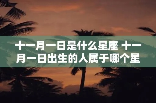 十一月十日出生的人是什么星座，生日星座特点解析