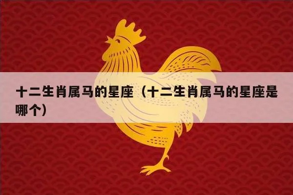 马是什么星座（马属于哪个星座）