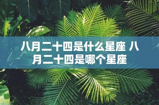 八月初二是什么星座的（八月初二星座解析）