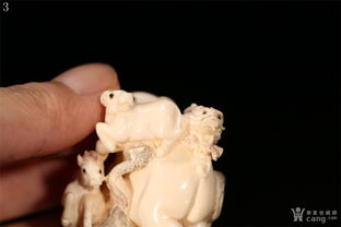 12生肖牙齿锋利的生肖 牙齿锋利的生肖有哪些