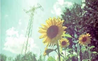 7月是什么星座的男生（揭秘7月出生的男生的星座特点）
