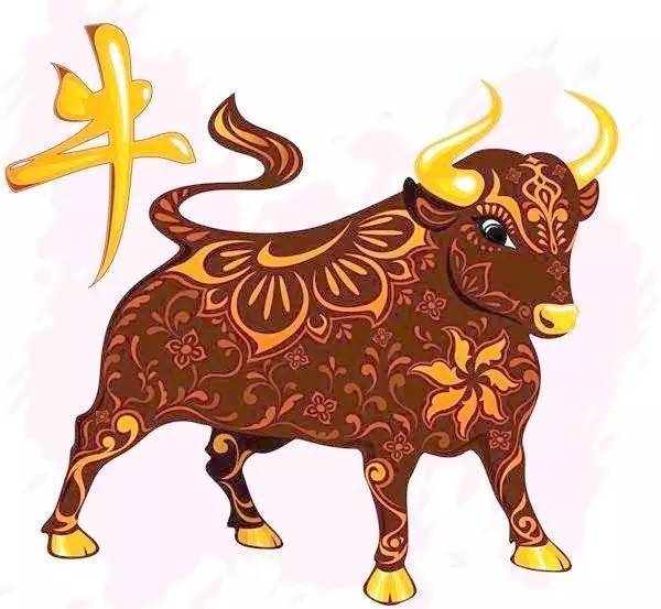 牛年出生的人是什么星座,牛年生肖对应的星座是哪些