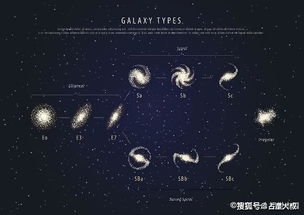 12月11日出生的人是什么星座，12月11日星座运势解析