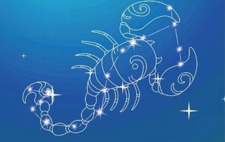 什么星座最受欢迎（星座排行榜）