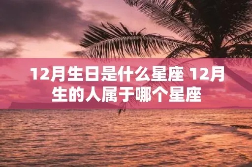 12月25日出生的人是什么星座，12月25日星座特点解析