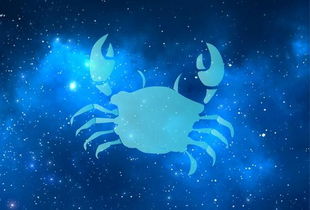 稀罕的稀是哪个星座 稀疏是什么星座