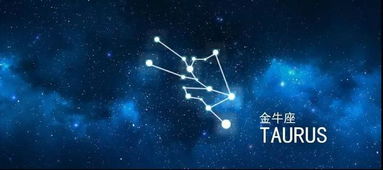 11月的星座有哪些,11月出生的人特点及运势分析