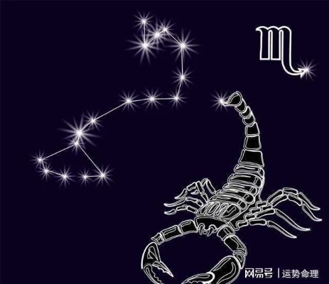 天蝎座后面是什个星座,天蝎座与其他星座的配对分析