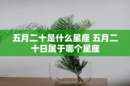 五月二十二生日的人是什么星座（五月二十二日星座分析）