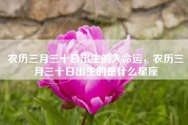 农历三月初二是什么星座，农历三月初二出生的人性格特点解析
