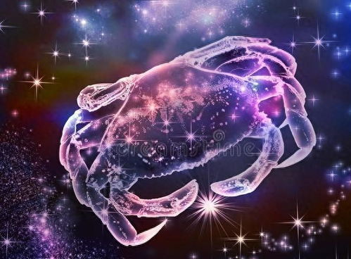 2月生的是什么星座（解密2月出生人的星座特点）