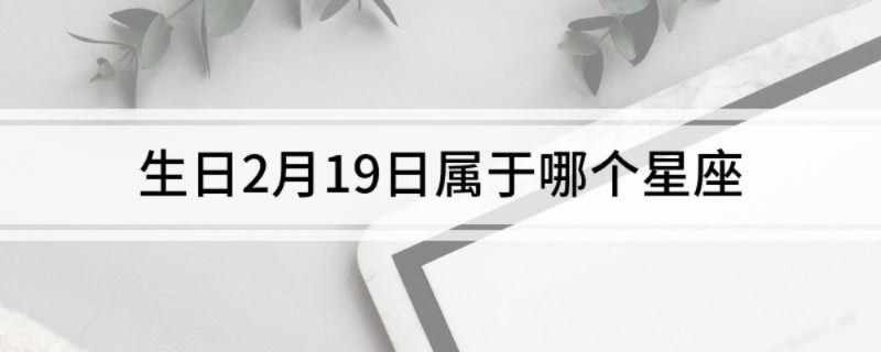2月19号生日是什么星座,2月19日星座特点解析