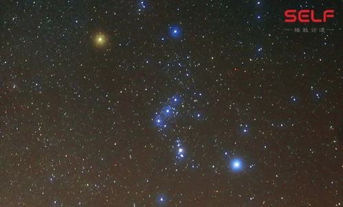 还有什么星座（探索星座世界的新发现）