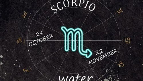 11.26生日是什么星座,11.26星座性格特点分析