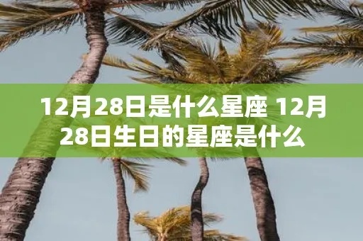 12月28号出生的人是什么星座,12月28日星座特点解析