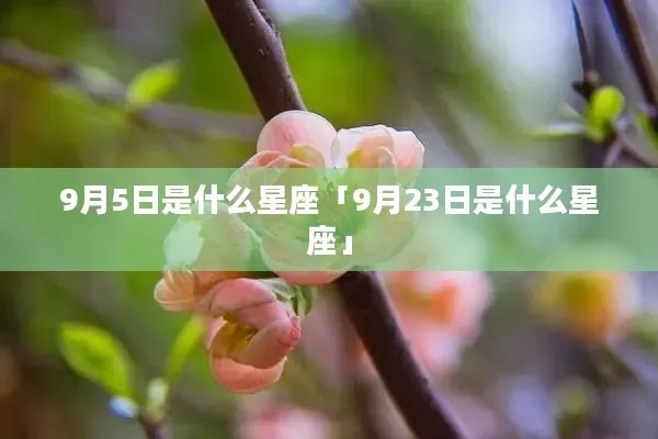 阳历9月5日是什么星座（星座查询与解析）