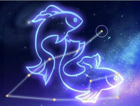 刘强东是什么星座（刘强东的星座是什么）
