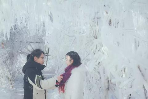 10.16什么星座（10月16日出生的人属于哪个星座）