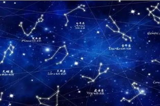 7.20是什么星座（探寻7月20日出生的人是什么星座）